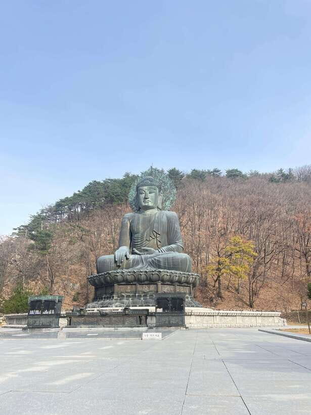 Seoul: Seorak Mountain, East DMZ, and Sokcho Tour - Sokcho: Seaside Charm and Fresh Flavors