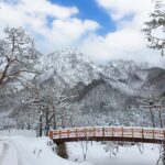 Seoul: Seorak Mountain, Nami Island, Eobi Ice Valley Tour - The Transport & Guides: Making It Comfortable