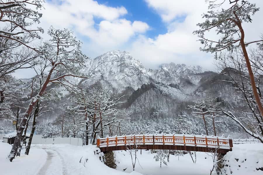 Seoul: Seorak Mountain, Nami Island, Eobi Ice Valley Tour - The Transport & Guides: Making It Comfortable