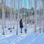 Seoul: Seorak Snowy Birch Forest & Maebawi Icewall Day Tour - What to Expect on the Day