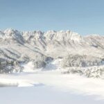 Seoul: Seoraksan National Park & Nami Island - Nami Island: The Serene Escape