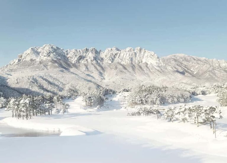 Seoul: Seoraksan National Park & Nami Island - Nami Island: The Serene Escape