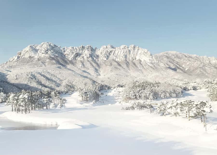 Seoul: Seoraksan National Park & Nami Island - Nami Island: The Serene Escape