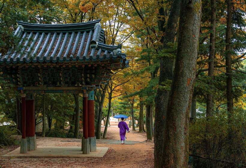 Seoul Sunrise & Sunset Hike + Temple & K-Food Adventure - What Makes This Tour Stand Out?
