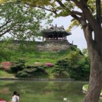 Seoul: Suwon History & Food Tour with Royal Tea and Dessert - Tasting History: Local Dishes and Royal Desserts