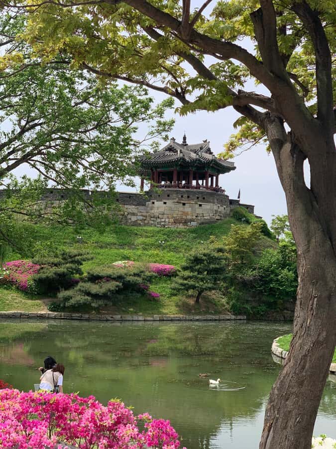 Seoul: Suwon History & Food Tour with Royal Tea and Dessert - Tasting History: Local Dishes and Royal Desserts