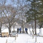 Seoul: Vivaldi Park Winter Ski with Nami Island Day Tour - Final Thoughts