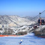 Seoul: Vivaldi Park Winter Ski with Nami Island Day Tour - Nami Island: The Scenic Endnote