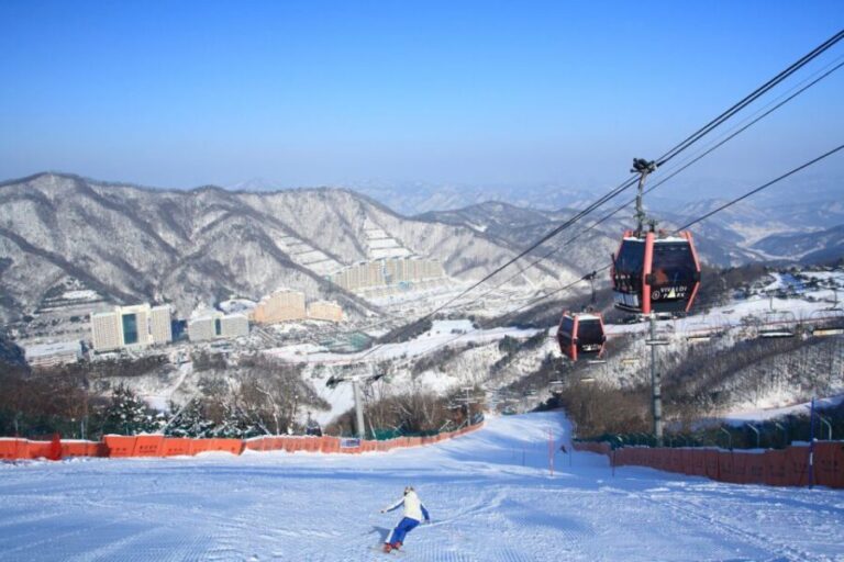 Seoul: Vivaldi Park Winter Ski with Nami Island Day Tour - Nami Island: The Scenic Endnote