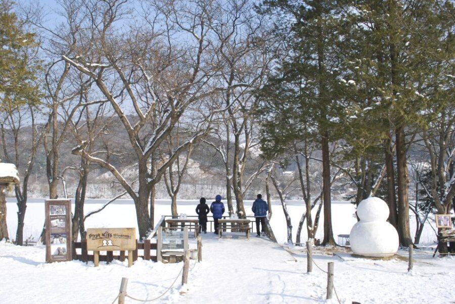 Seoul: Vivaldi Park Winter Ski with Nami Island Day Tour - Final Thoughts