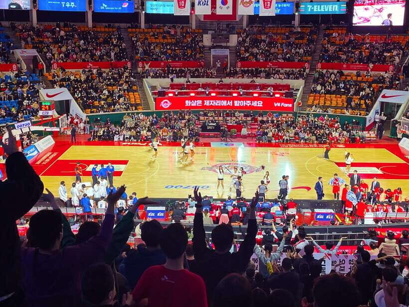 Seoul: Watching Sports Match & Local Food Experience - The Game: Basketball, Volleyball, or Soccer