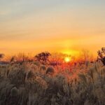 Seoul Winter Sunrise New Year Morning Experience - What Travelers Can Expect: Details and Insights