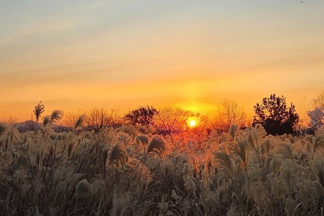 Seoul Winter Sunrise New Year Morning Experience - What Travelers Can Expect: Details and Insights