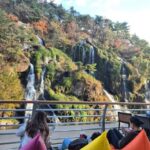 Seoul: Yeonhui Art Fair, Exhibition, Gallery Walking Tour - Deep Dive into the Experience