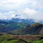 Serene Munnar Retreat: Private Tour from Kochi to the Munnar Hill - Why This Tour Works Well