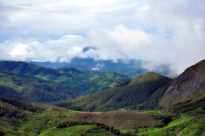Serene Munnar Retreat: Private Tour from Kochi to the Munnar Hill - Why This Tour Works Well