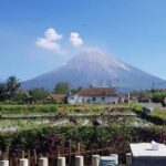 Serving Private tour Bromo-Ijen-tumpaksewu - What Does the Experience Feel Like?