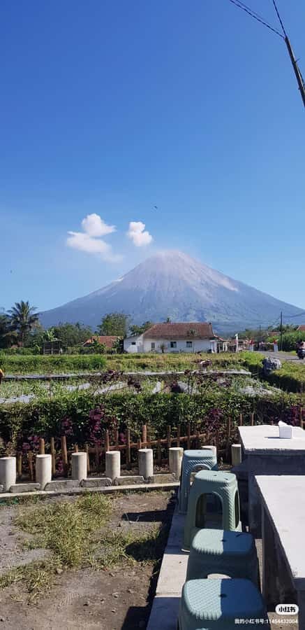 Serving Private tour Bromo-Ijen-tumpaksewu - What Does the Experience Feel Like?