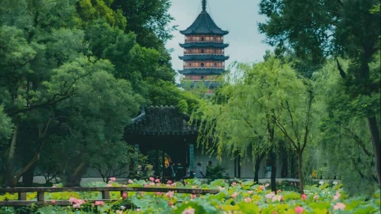 Shanghai: 7-Day Private Tour with Suzhou & Nanjing - Practical Considerations