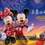 Shanghai Disneyland To Shanghai hotels:Private with Meet & Greet Service - Pricing and Value