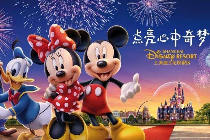 Shanghai Disneyland To Shanghai hotels:Private with Meet & Greet Service - Pricing and Value