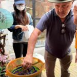 Shanghai: French Concession Tour with Craft Class - Exploring Xintiandi: A Blend of Modern and Traditional