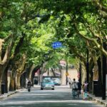 Shanghai: Guided Tour with Soong Ching Ling Memorial Entry - Practical Details and Tips