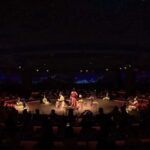 Shanghai: Immersive Han Dynasty Palace Banquet - The Experiences Strengths