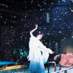 Shanghai: Imperial Banquet at Jiangnan Jun with Private Room - Who Should Consider This Experience?