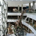 Shanghai Natural History Museum Entry Ticket - What to Expect at Each Part of the Museum