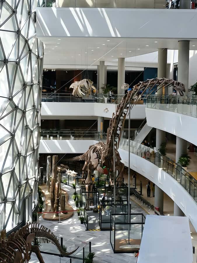 Shanghai Natural History Museum Entry Ticket - What to Expect at Each Part of the Museum