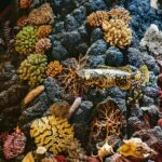 Shanghai: Natural History Museum Tour & River Cruise - Practical Details and Considerations