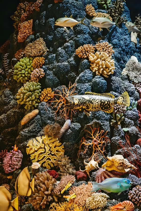 Shanghai: Natural History Museum Tour & River Cruise - Practical Details and Considerations