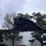 Shanghai Private Guided Tour: Old & Modern Scenic Views - Discovering the Layers of Shanghai