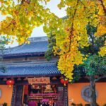 Shanghai: Spending a Chinese New Year's Day Like The Local - Why This Tour is a Great Choice