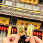 Shanghai to Chongming: Ecology, Culture & Hands-on Tour - Practicalities & Logistics