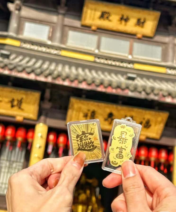 Shanghai to Chongming: Ecology, Culture & Hands-on Tour - Practicalities & Logistics