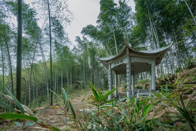 Shanghai to Hangzhou Tofu Ancient Road Hiking Tour by Train - FAQ