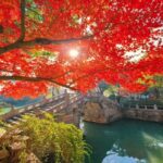 Shanghai to Suzhou One Day Private Tour with Bullet Train - Value and Practicality