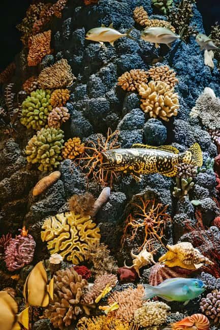 Shanghai: Yu Garden, City God Temple & River Cruise Tour - What’s Included & Practicalities