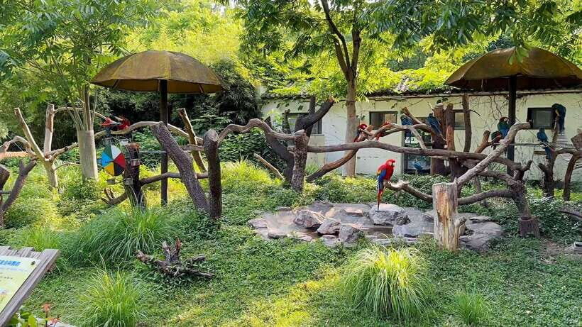 Shanghai: Zoo and Zhujiajiao Water Town Tour with Boat Ride - Why This Tour Offers Great Value
