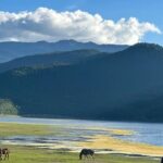 Shangri-La Day Tour Songzanlin Monastery and Napa Sea - An In-Depth Look at the Tour Itinerary