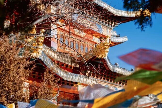 Shangri-La Day Tour Songzanlin Monastery and Napa Sea - Whats Included and Whats Not