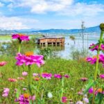 Shangri-La: Lijiang Ancient Town & Lashihai 1 Day Trip - The Itinerary Breakdown