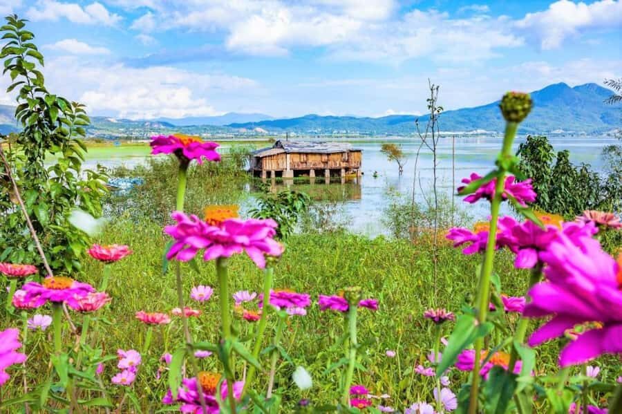 Shangri-La: Lijiang Ancient Town & Lashihai 1 Day Trip - The Itinerary Breakdown