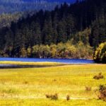 Shangri-La: Pudacuo National Park & Songzanlin Tour - A Deep Dive into the Experience