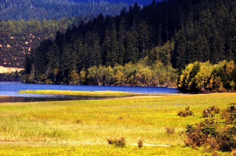 Shangri-La: Pudacuo National Park & Songzanlin Tour - A Deep Dive into the Experience