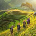 Shared 2 days and 1 night Sapa Trekking Adventure - Authentic Experiences and Hidden Gems