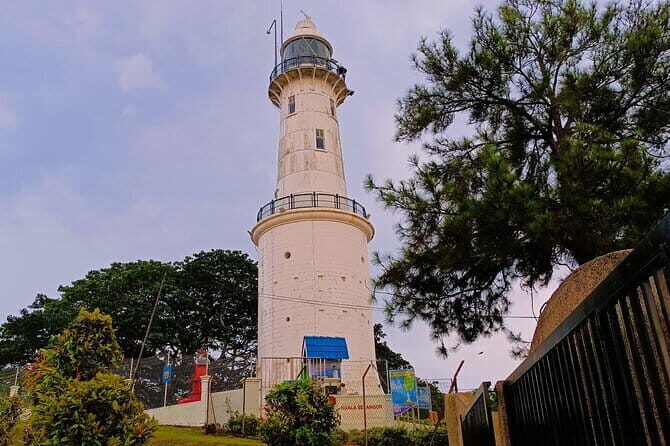 Shared Fireflies Tour with Blue Tears and Seafood Dinner - Who Is This Tour Best For?