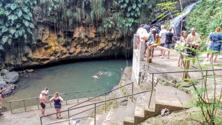 Shared Tour: Annandale Waterfall, Fort & Beach Escape - Who Is This Tour Best Suited For?